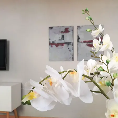 Helmi34 - Dotato Di Tutti I Comfort Nel Centro Di *